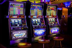 ddu com bet ddu com bet
